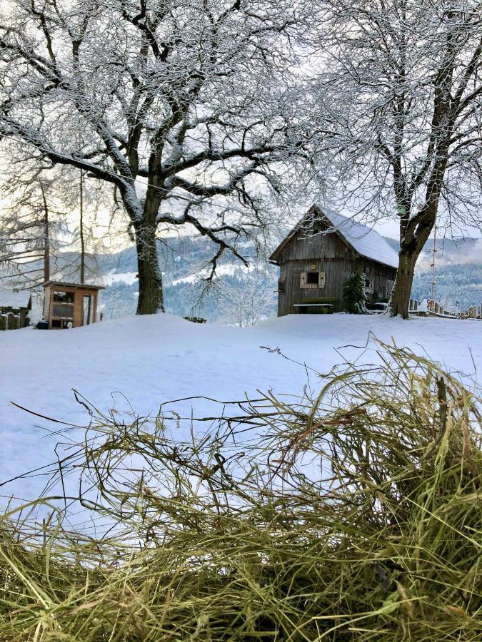 Lutzmannhof Villa Irdning Dış mekan fotoğraf